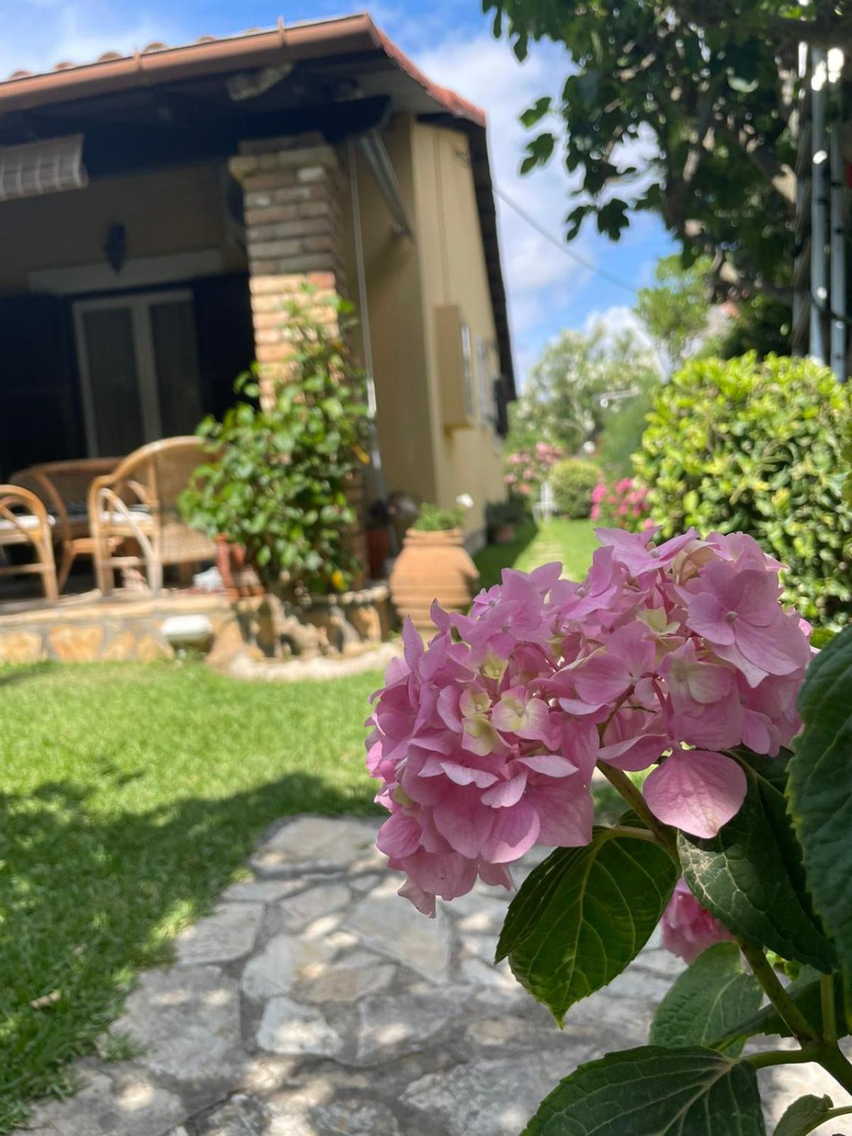 Villa Tina Country Beach Apartments Acharavi  Cameră foto