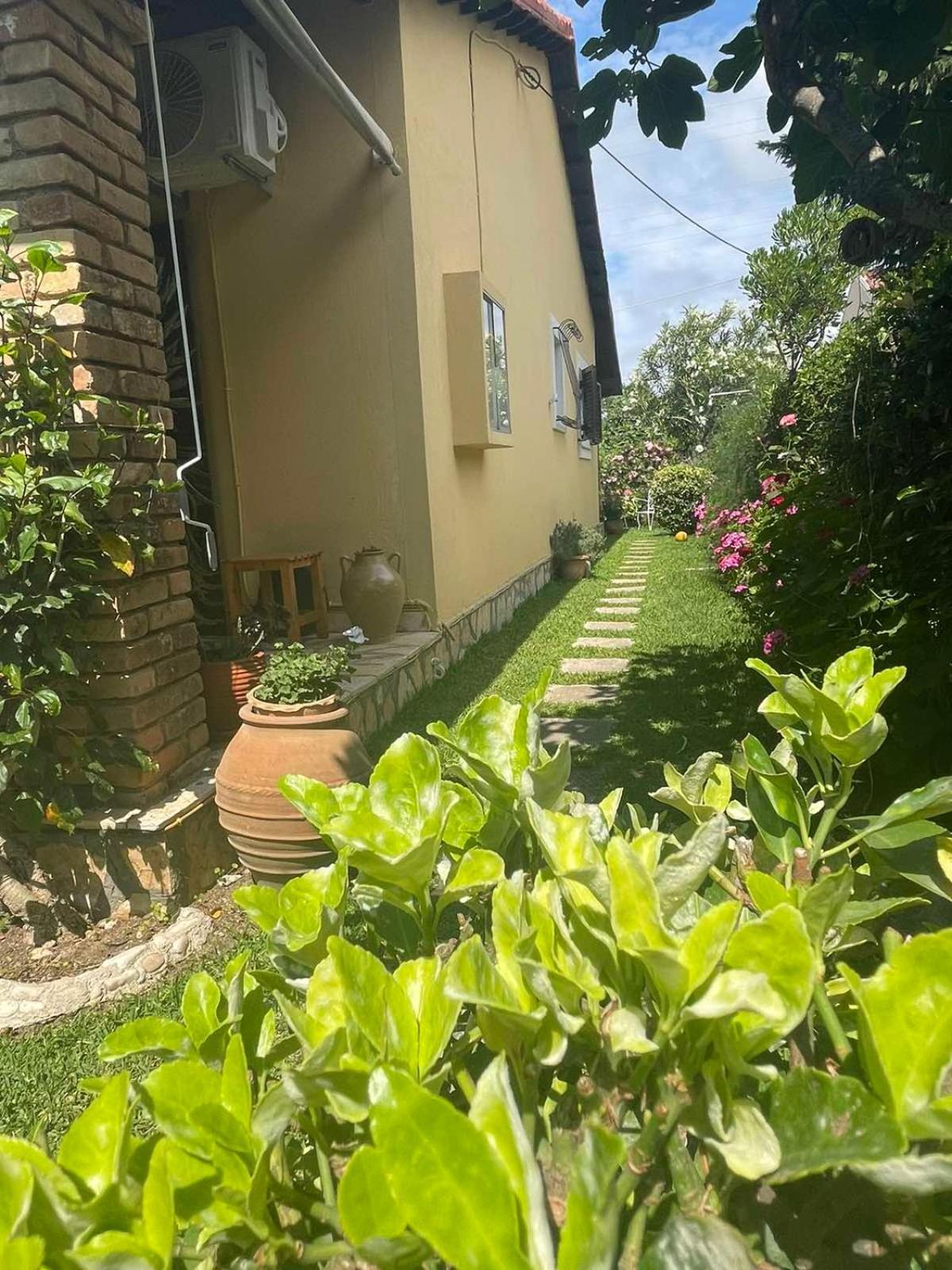 Villa Tina Country Beach Apartments Acharavi  Cameră foto