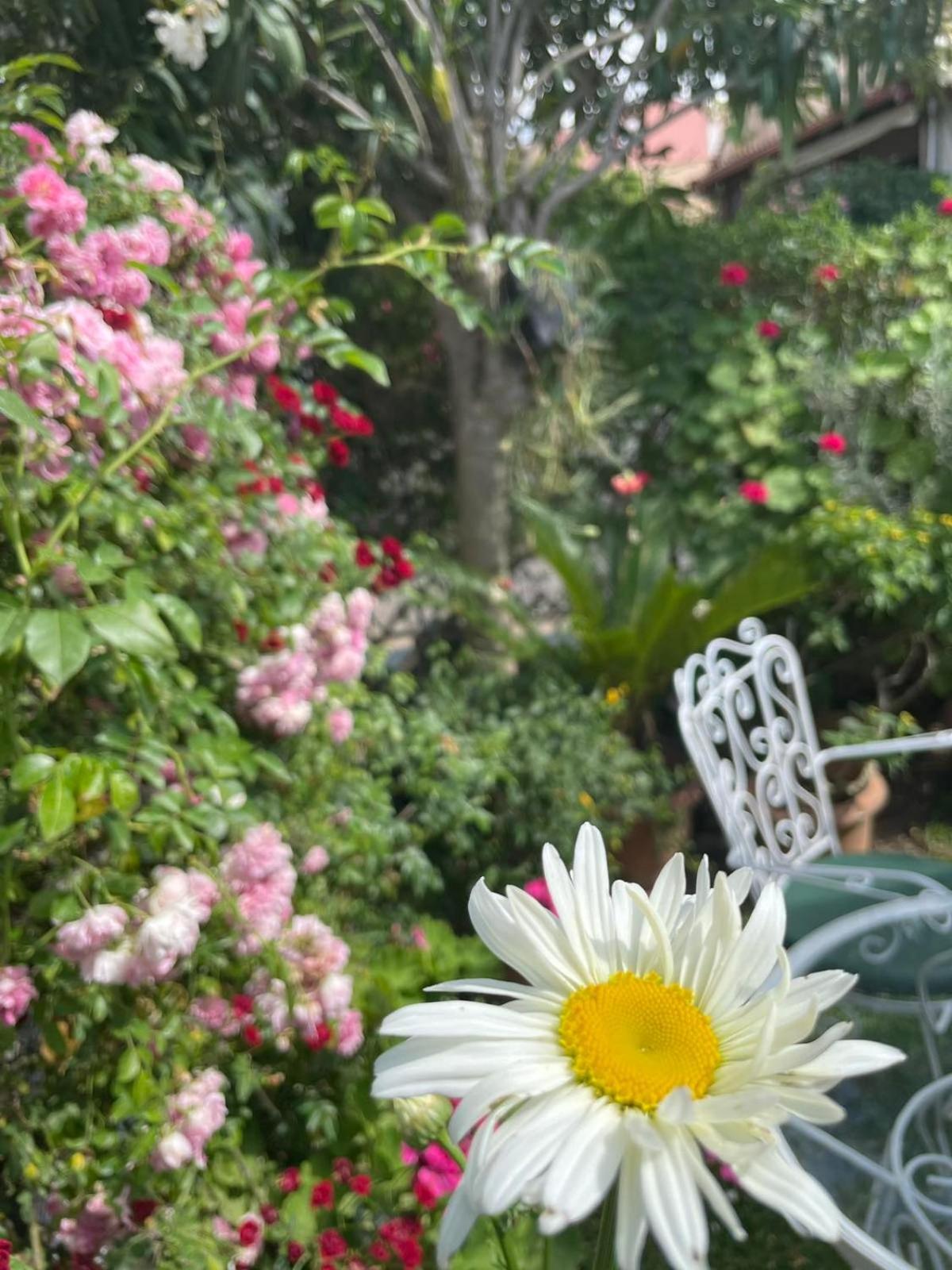 Villa Tina Country Beach Apartments Acharavi  Cameră foto