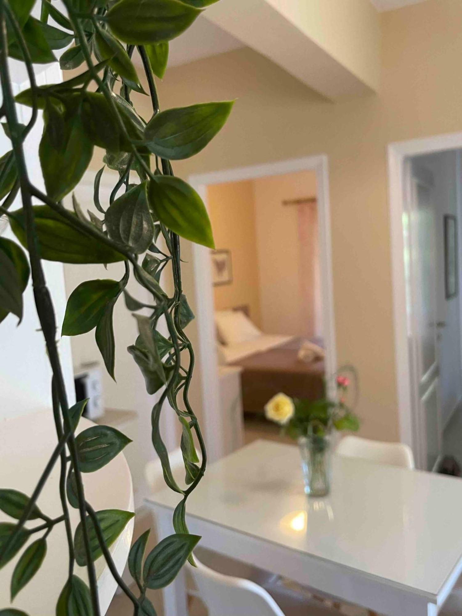 Villa Tina Country Beach Apartments Acharavi  Cameră foto