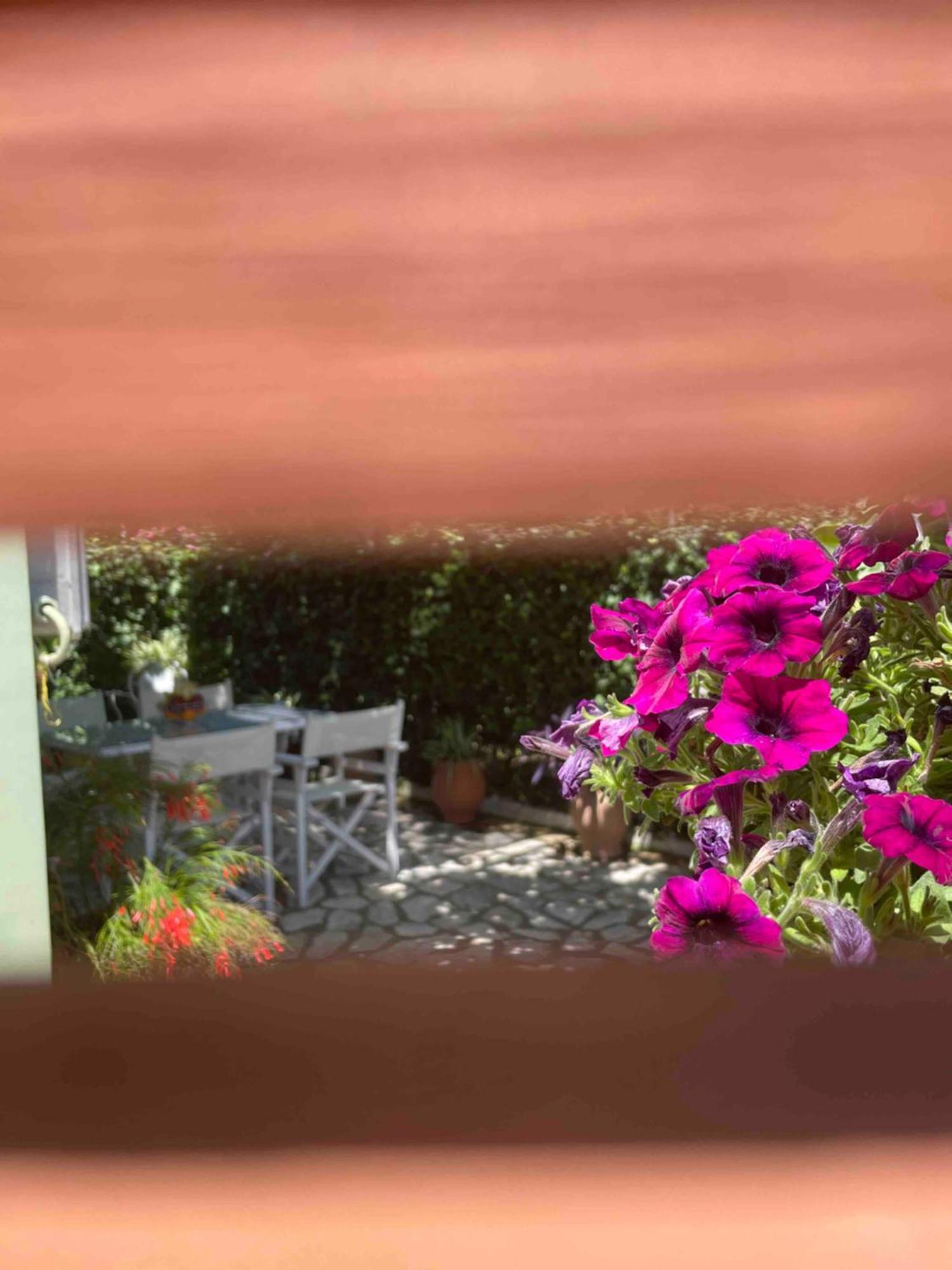 Villa Tina Country Beach Apartments Acharavi  Cameră foto